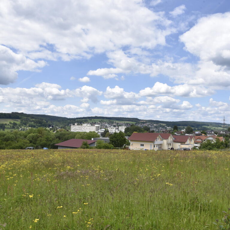 Wohnung